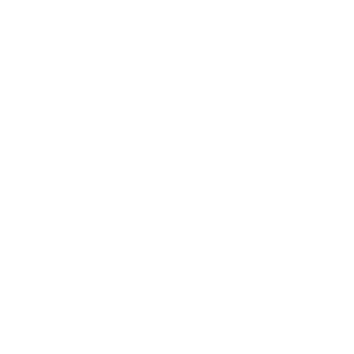 CUSTOM SOFTWARE DEVELOPMENT